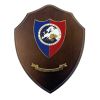 CREST MEDIO COMANDO CARABINIERI POLITICHE AGRICOLE MIS CM 15,5X12,5