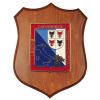 CREST CARABINIERI REGIONE TRENTINO ALTO ADIGE MIS CM 22,5X17,5