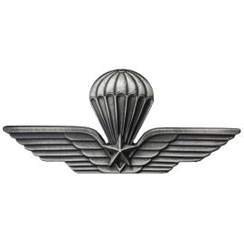 DISTINTIVO IN METALLO BREVETTO PARACADUTISTA MILITARE 75X35 MM