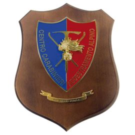 CREST CENTRO CARABINIERI ADDESTRAMENTO ALPINO MIS CM 22,5X17,5