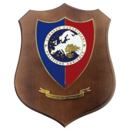 CREST COMANDO CARABINIERI POLITICHE AGRICOLE MIS CM 22,5X17,5