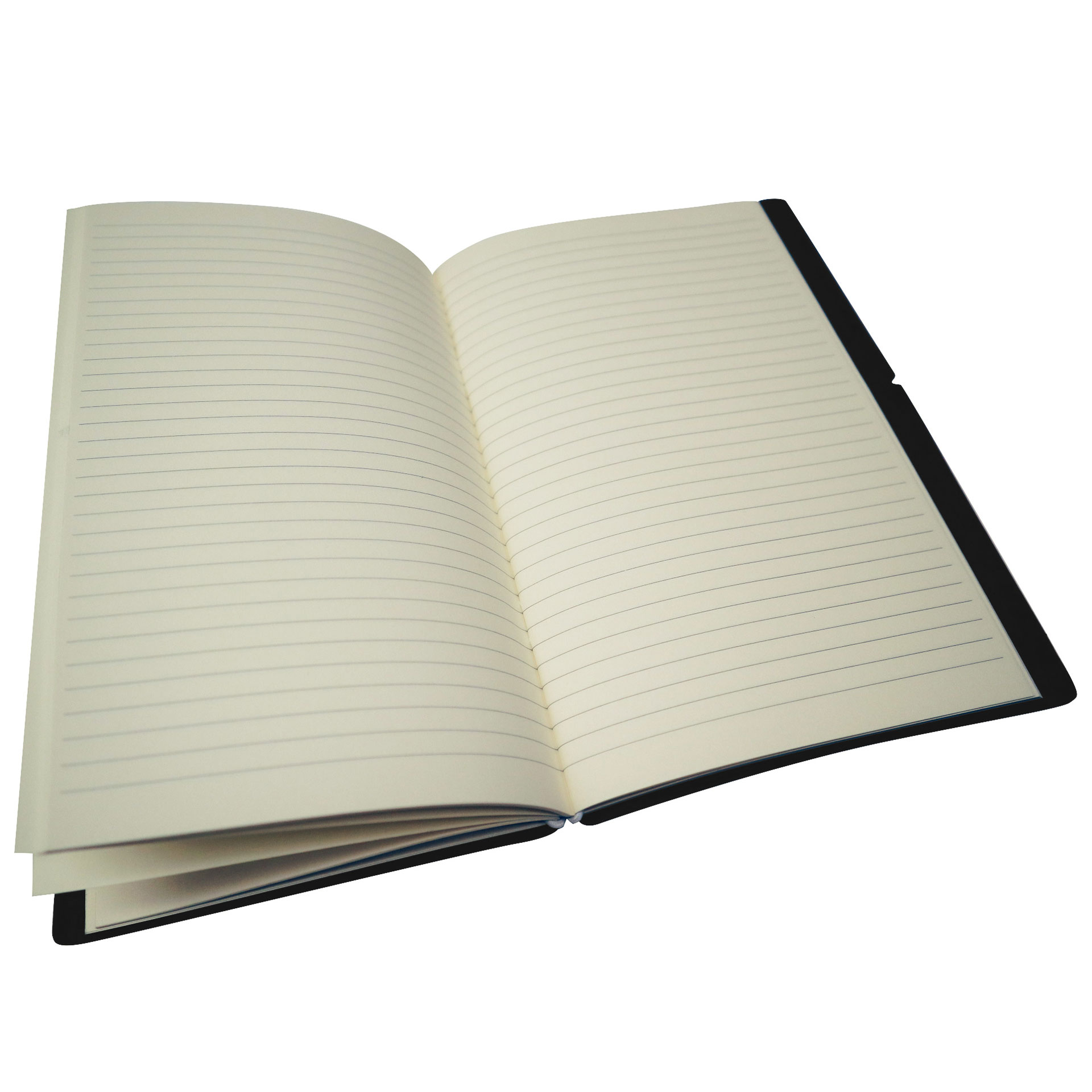 AGENDA SETTIMANALE GRANDE